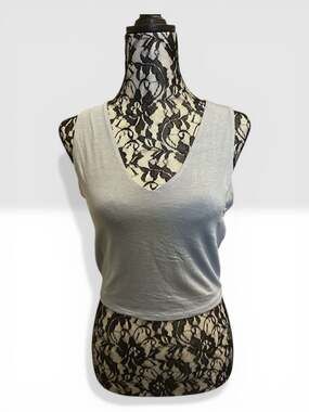 Lulus Gray V-Neck Sleeveless Crop Muscle Tank Top